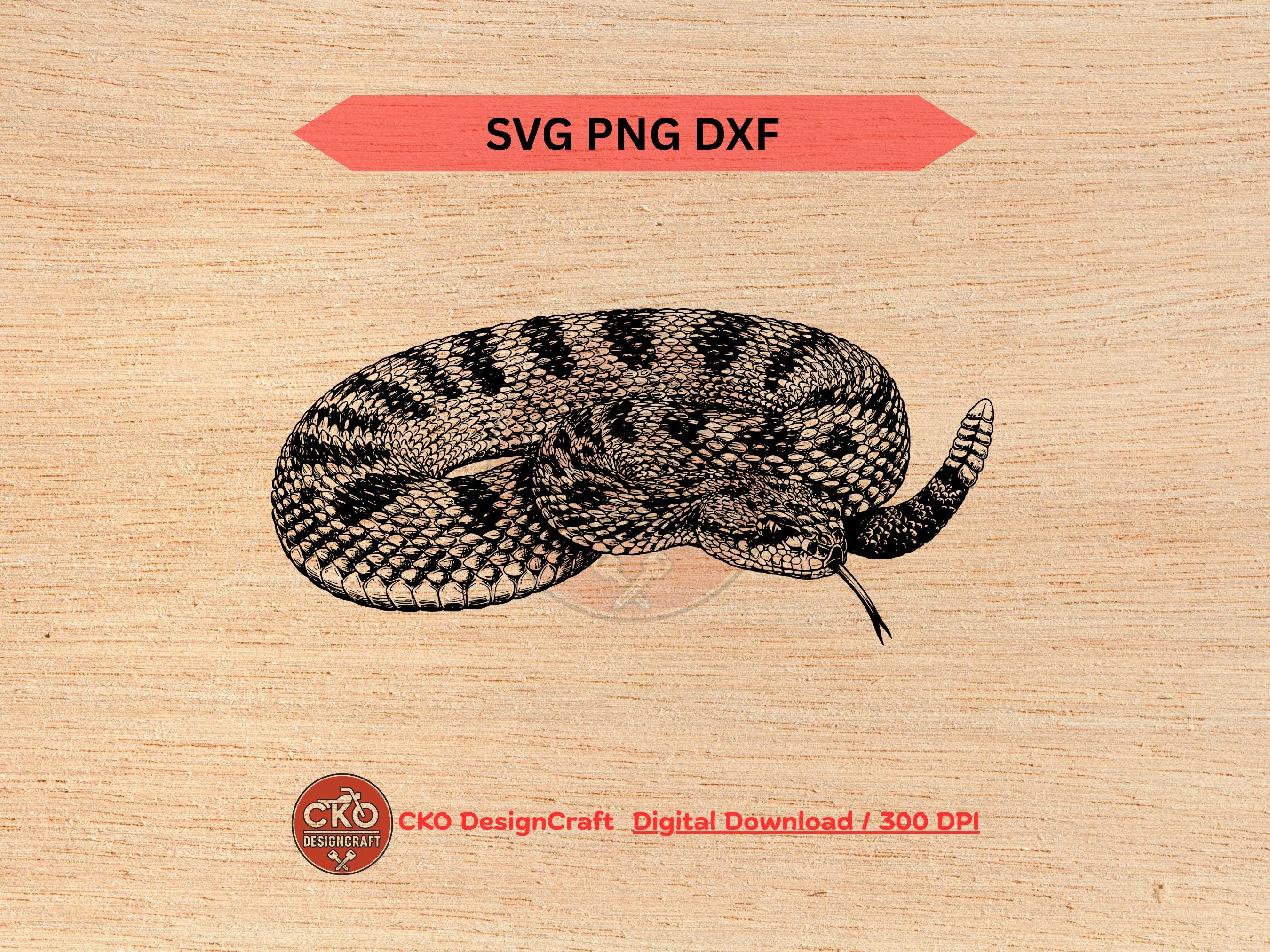 Rattlesnake Svg Dxf Png Realistic Detailed Snake Digital Download