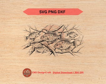 Crappie School SVG PNG DXF Realistic Detailed fish Digital Download Laser File