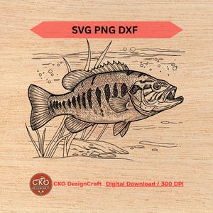 Bass Pro Shops Sticker - Etsy