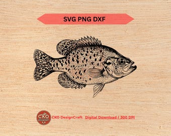 Crappie SVG PNG DXF Realistic Detailed Fish Digital Download Laser Files