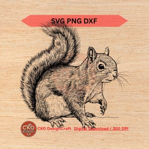 Squirrel svg dxf png Grey Red Realistic Detailed Digital Download Laser Files
