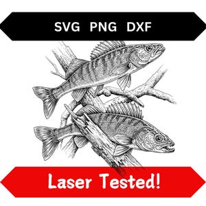 Walleye Laser Engraving Files SVG PNG DXF Realistic Detailed Fishing