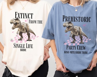 Dinosaurus vrijgezellenfeest bijpassende shirts, grappige schattige jaren 90 bruid als cadeau, prehistorische bruid stam T-shirt begin jaren 2000, T-Rex bruids T-shirt