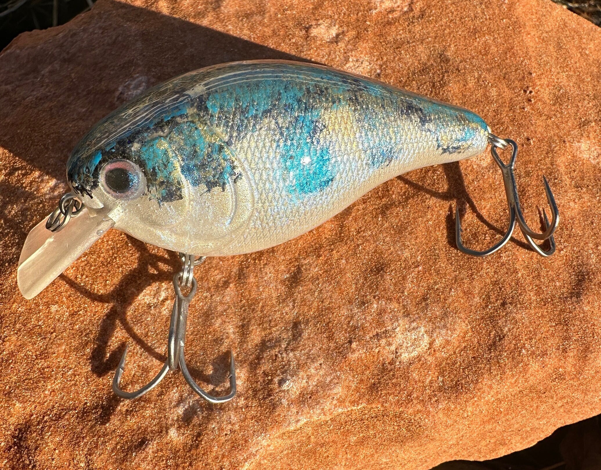 Shallow Dive Lure 
