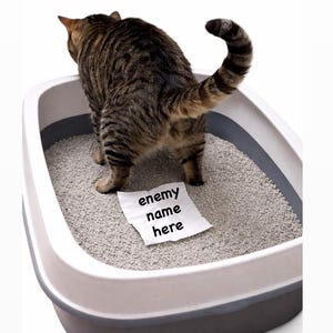 May include: A tabby cat in a litter box with a piece of paper that says "enemy name here". The cat is brown and black, and the litter box is gray and white.