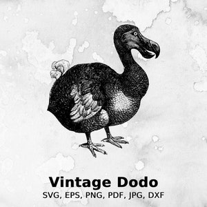 Pode incluir: Ilustração a preto e branco de um pássaro Dodo, em estilo vintage. A imagem apresenta o texto "Vintage Dodo" e opções de formato de arquivo. A ave é mostrada com sombreamento detalhado.