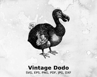 Vintage Dodo Vector Illustration | bird, dodo, extinct, animal, wildlife, old, feather, beak, nature