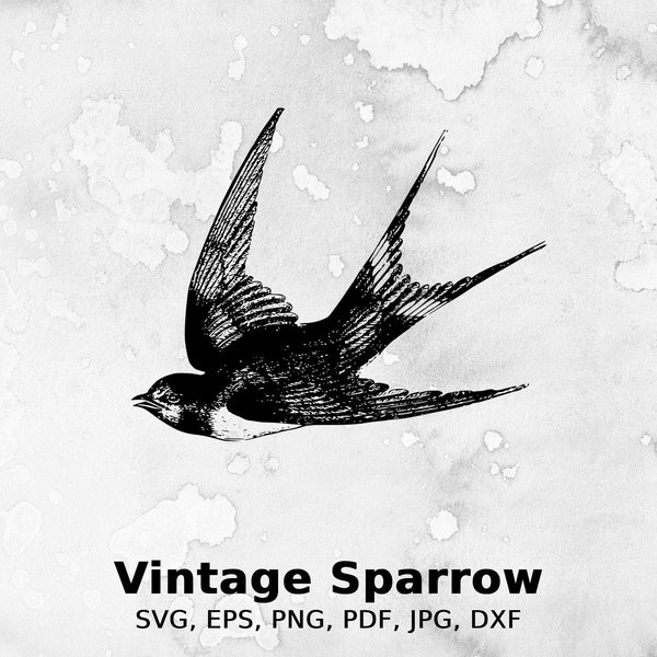 Vintage Sparrow Vector Illustration | vintage tattoo art, swallow, bird, wings, flight, fly, sparrow