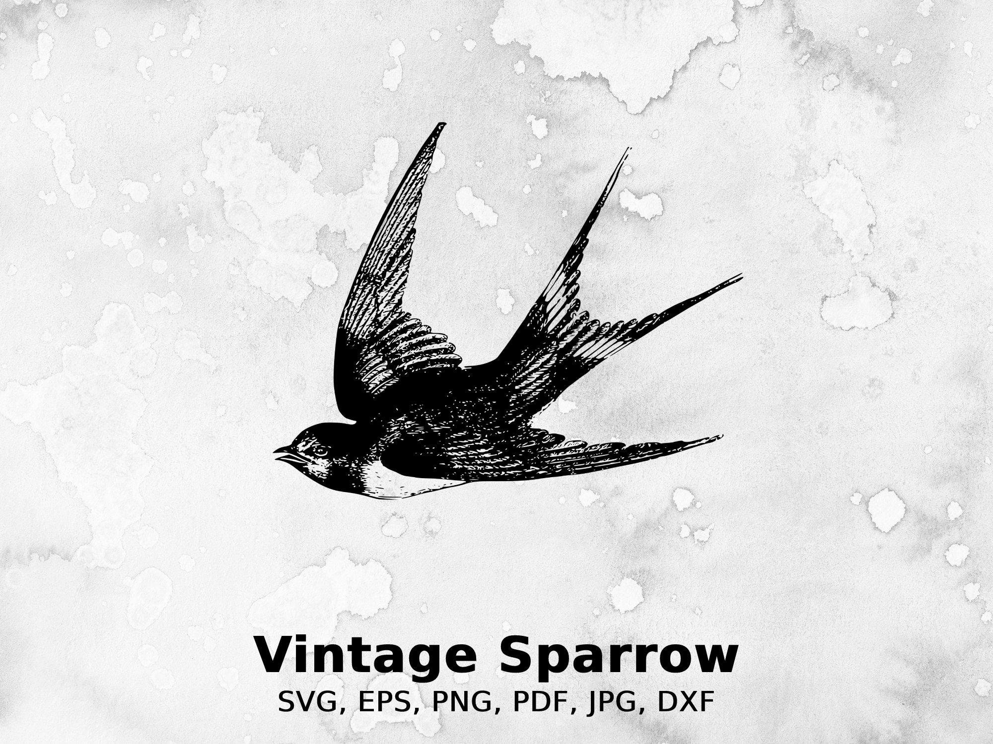 Vintage Sparrow Vector Illustration | vintage tattoo art, swallow, bird, wings, flight, fly, sparrow