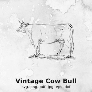 Vintage Cow Bull Vector Illustration | cow, bull, buffalo, vector, vintage, retro, longhorn, wildlife, farm, barn