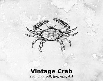 Vintage Crab Vector Illustration | crab, vector, vintage, sea, ocean, cancer, nature, water, summer, marine, crustacean, zodiac