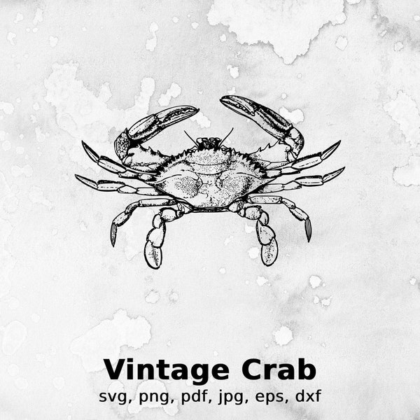 Vintage Crab Vector Illustration | crab, vector, vintage, sea, ocean, cancer, nature, water, summer, marine, crustacean, zodiac