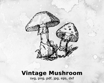 Vintage Pilz-Illustration Retro Grafik (Digitaler Download)