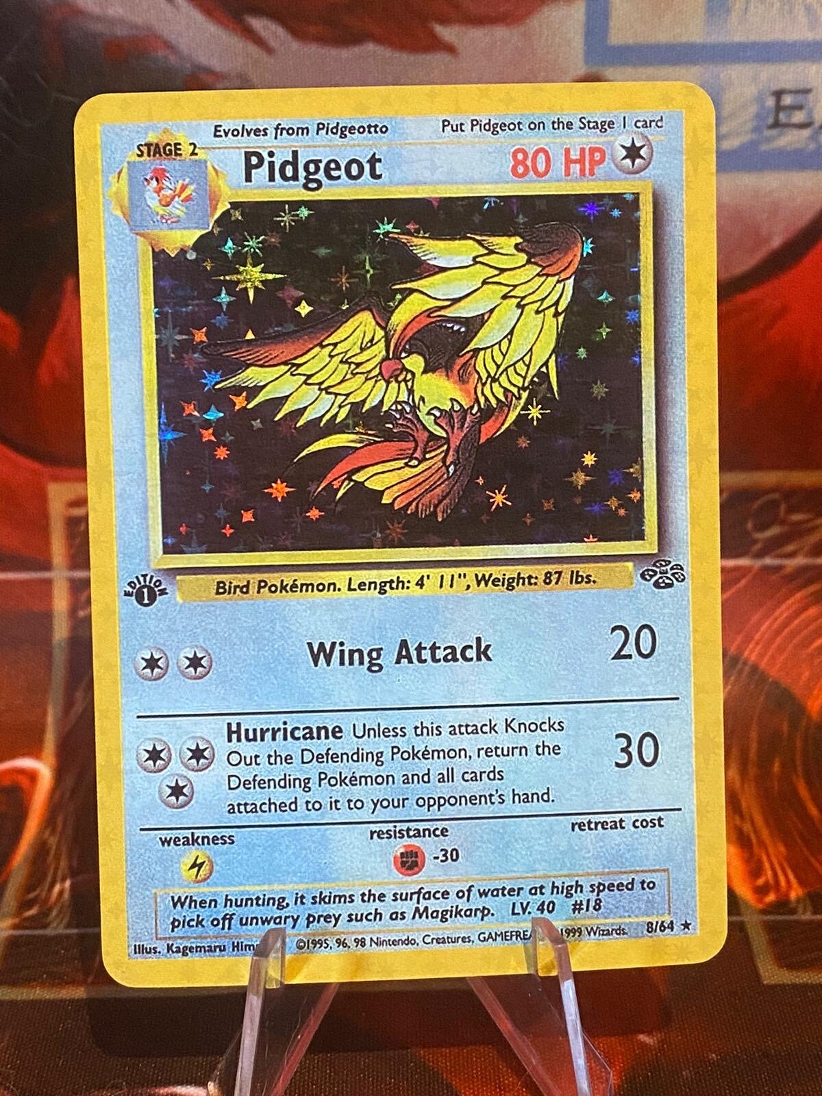 Pidgeot Jungle Fossil Base Set Pokemon Custom Card Holographic 8/64 1999  1st Edition - Etsy