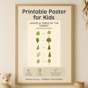 Leaves & Trees of the Forest Poster – Scandinavian Nature Printable, Botanical Wall Art for Kids, Educational Classroom Decor