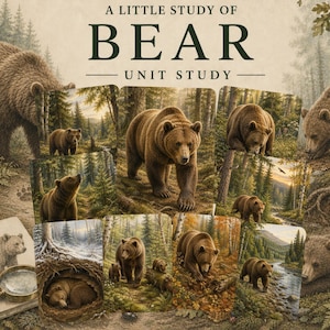 May include: A collection of educational cards featuring various illustrations of brown bears in forest habitats, with a sketchbook and magnifying glass in the corner. The text reads A LITTLE STUDY OF BEAR UNIT STUDY in dark green lettering.
