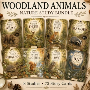 Könnte beinhalten: Ein Woodland Animals Nature Study Bundle mit acht illustrierten Heften mit den Titeln A Little Study of the Bear, Deer, Fox, Badger, Hedgehog, Squirrel, Owl und Bat. Die Sammlung enthält 72 Story Cards, präsentiert mit naturbezogenen Akzenten.