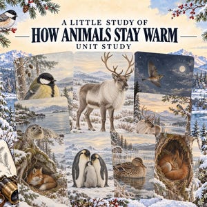 May include: A collection of educational cards titled A LITTLE STUDY OF HOW ANIMALS STAY WARM UNIT STUDY, featuring illustrations of a reindeer, penguins, a fox, a seal, and various birds in snowy winter landscapes, with a sketchbook and binoculars.
