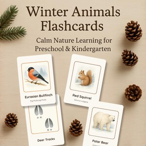 Op de afbeelding: Educatieve flashcards met winterdieren. De kaarten tonen illustraties van een Europese vink, een rode eekhoorn, hertensporen en een ijsbeer. De tekst op de kaarten luidt "Winter Animals Flashcards" en "Calm Nature Learning for Preschool & Kindergarten".