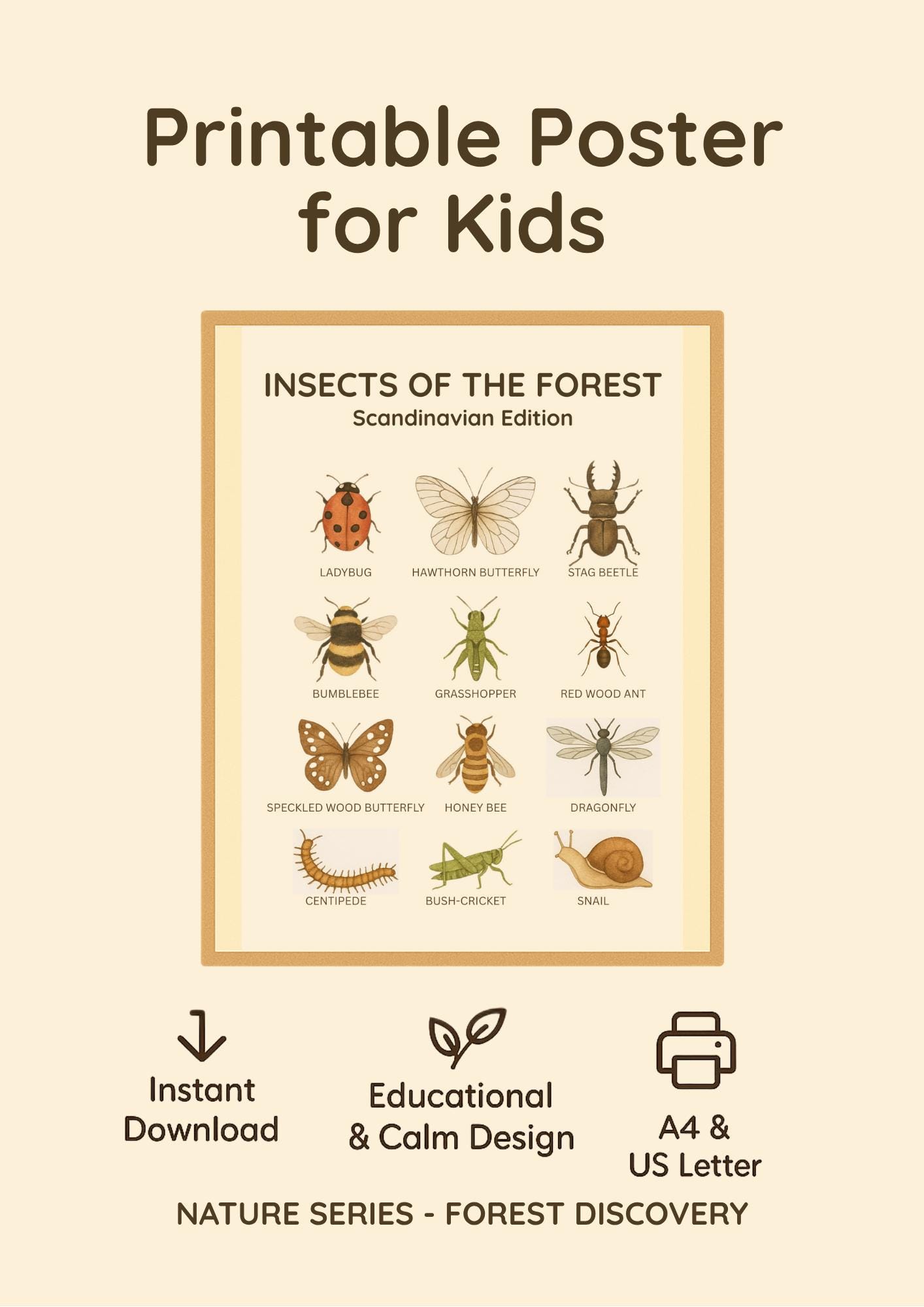 Printable Insect Poster for Kids – Bug Identification Chart ...