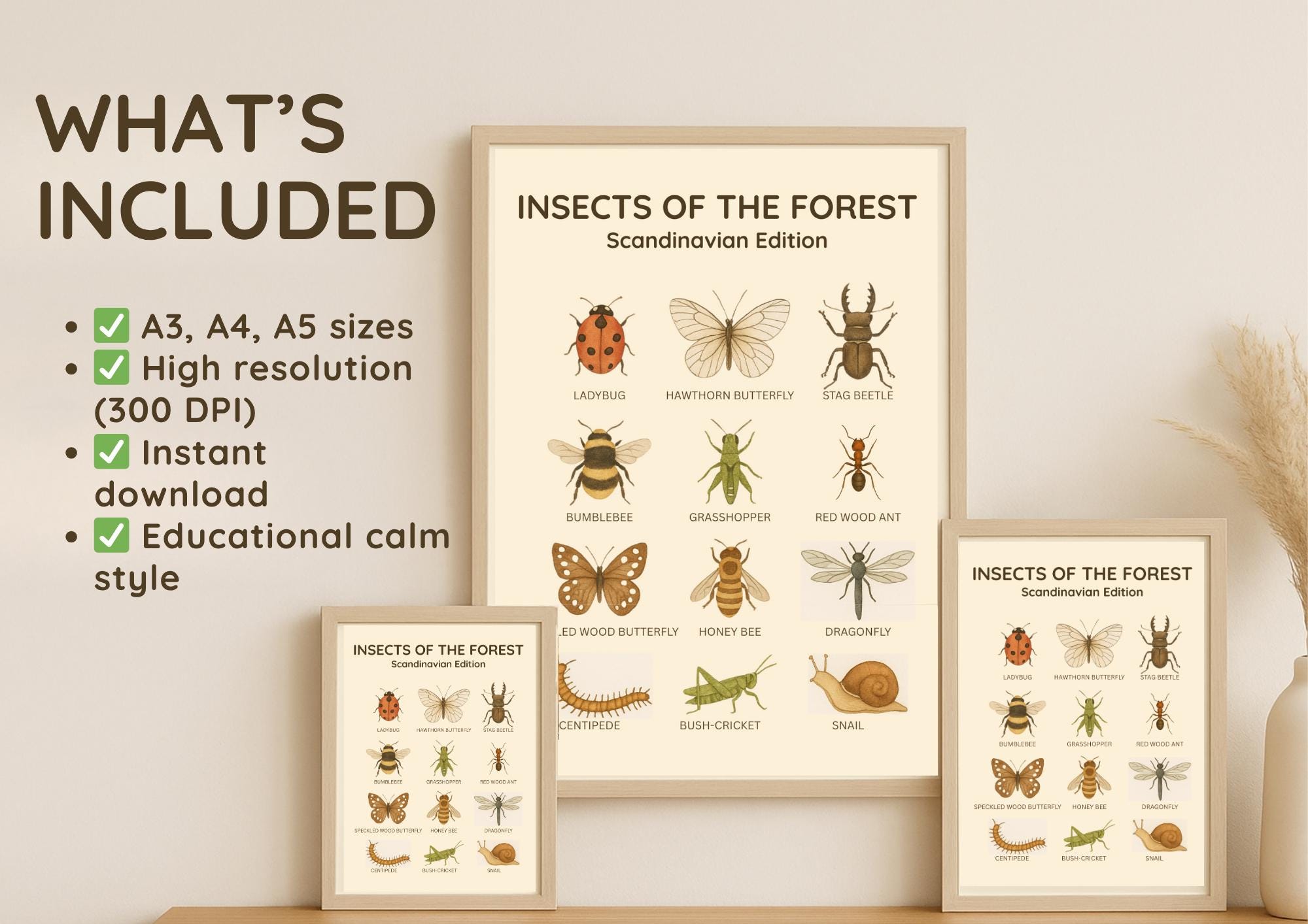 Printable Insect Poster for Kids – Bug Identification Chart ...