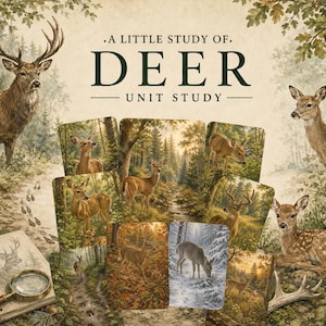 May include: A collection of educational cards titled A LITTLE STUDY OF DEER UNIT STUDY featuring various illustrations of deer in forest settings, a spiral-bound notebook with a deer sketch, and a magnifying glass on a light background.