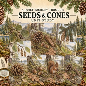 Può includere: Un'unità didattica intitolata A QUIET JOURNEY THROUGH SEEDS & CONES che presenta una collezione di schede naturalistiche con illustrazioni di pigne, ghiande e uno scoiattolo in un bosco, insieme a un taccuino e una lente d'ingrandimento.