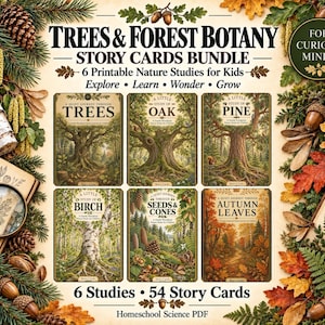 Puede incluir: Un paquete de tarjetas de historias Trees & Forest Botany con 6 estudios de la naturaleza imprimibles para niños. El set incluye 54 tarjetas con títulos como Trees, Oak, Pine, Birch, Seeds & Cones y Autumn Leaves, rodeadas de ilustraciones de bellotas, hojas y una brújula.