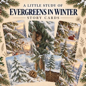 Könnte beinhalten: Ein Set von Story-Karten mit dem Titel A LITTLE STUDY OF EVERGREENS IN WINTER, das Illustrationen von verschneiten immergrünen Bäumen, Tannenzapfen, Vögeln und einem Eichhörnchen zeigt. Die Karten liegen auf Tannenzweigen und Beeren.