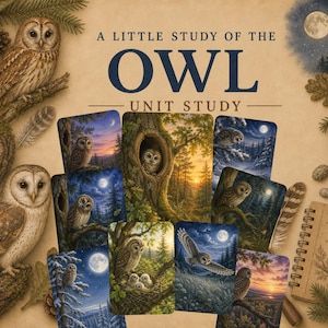 Puede incluir: Una colección de tarjetas educativas titulada A LITTLE STUDY OF THE OWL UNIT STUDY, que presenta ilustraciones detalladas de búhos en diversos entornos naturales, incluyendo bosques, noches de luna llena y nidos, junto a un cuaderno de espiral.