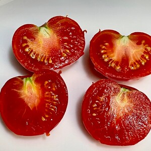 Bloody Butcher Tomato 25 Seeds. Indeterminate Tomato Plant. Deep Red Organic Tomato Seeds. Vegetable Garden image 4