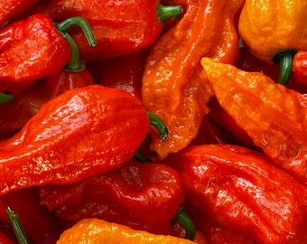 Red Ghost Bhut Jolokia Pepper seeds. Organic Seeds.  Grow your own hot peppers right in the comfort of your own yard!