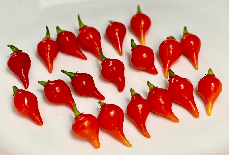 Red Biquinho Pepper Seeds: Brazil Heirloom, Non GMO (12+ Seeds) - Etsy