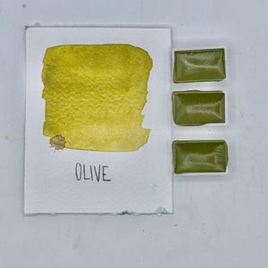 Può includere: Un campione di acquerello con l'etichetta "OLIVE" mostra una tonalità verde oliva strutturata. Tre vaschette di vernice rettangolari dello stesso colore sono posizionate a destra. Il campione è su carta bianca.