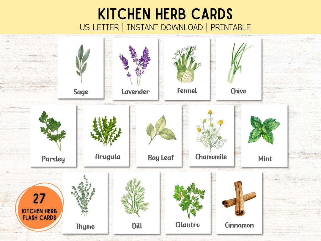 Printable Flash Cards Kids Activity Printable Homeschool Printable Herb ...