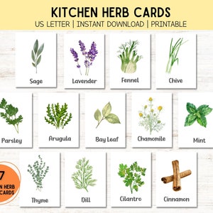 Printable Flash Cards | Kids Activity Printable | Homeschool Printable | Herb Marker | Homeschool | Flashcards | Montessori | Digital Print