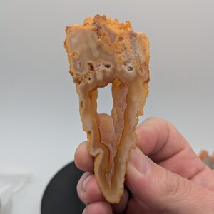 May include: A cross-section of a polished agate stone, showcasing layers of tan, orange, and cream colors. The stone has a natural, organic shape with a central void, revealing intricate patterns and textures. The agate is held in a hand against a neutral background.