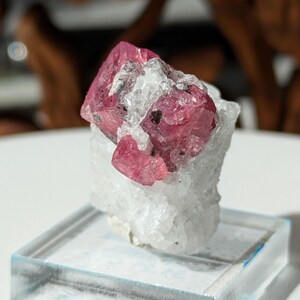 May include: A cluster of pink ruby crystals on a white matrix, displayed on a clear acrylic base.