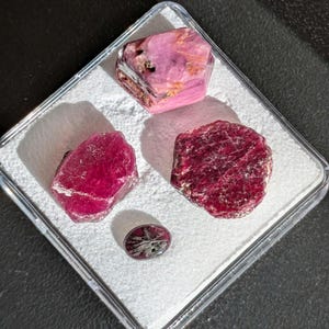 Op de afbeelding: Een verzameling ruwe robijn edelstenen in een doorzichtige plastic display case. De robijnen variëren in grootte en vorm, met kleuren variërend van dieprood tot roze. Een kleine, ovaalvormige robijn is ook inbegrepen.