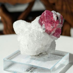 May include: A vibrant red ruby crystal nestled in a cluster of white quartz crystals. The crystals are displayed on a clear glass base.