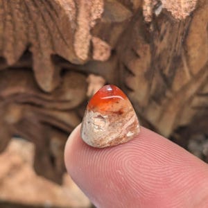 May include: A small, triangular, orange and white gemstone with a swirling pattern. The gemstone is being held by a finger.