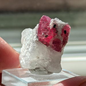 May include: A vibrant pink ruby crystal with black inclusions, mounted on a white matrix. The crystal is sharp and well-defined, with a faceted appearance.