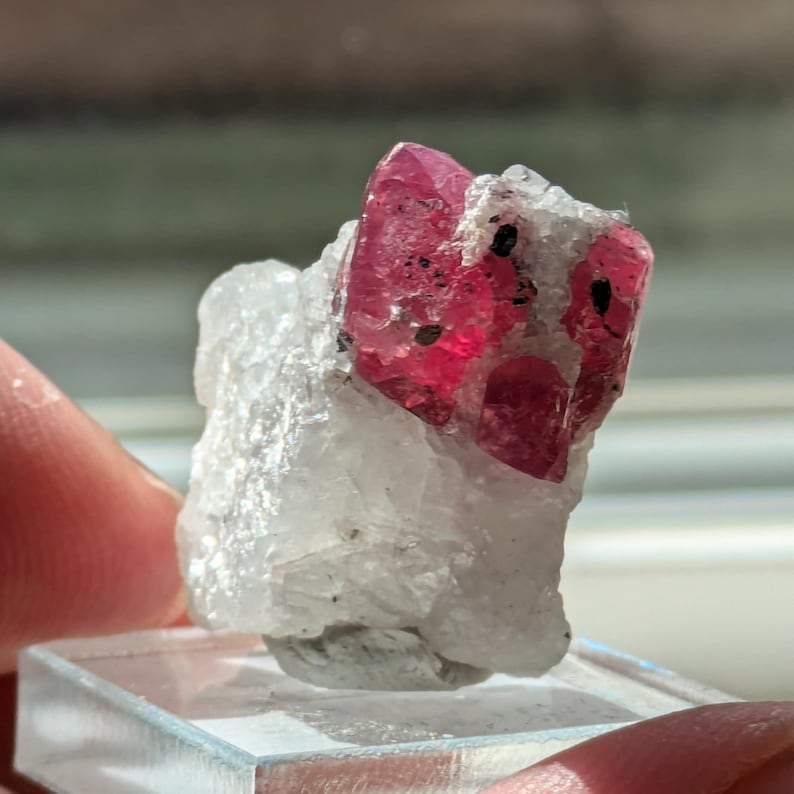 May include: A vibrant pink ruby crystal with black inclusions, mounted on a white matrix. The crystal is sharp and well-defined, with a faceted appearance.