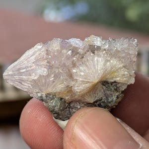 May include: A close-up of a mineral specimen featuring radiating, crystal formations in shades of white and pale purple. The crystals are clustered on a dark gray matrix, creating a striking contrast. The specimen is held in a person's hand.