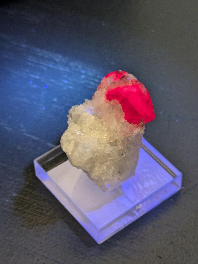 May include: A bright pink ruby crystal specimen on a white matrix, displayed on a clear acrylic base.