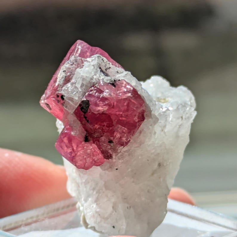 May include: A vibrant red ruby crystal with a sharp, multifaceted shape, nestled in a bed of white quartz. The ruby has a deep, rich red color and is surrounded by smaller, white quartz crystals.