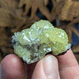 May include: A cluster of light green and white crystals on a dark brown matrix. The crystals are sharp and have a glassy lustre.