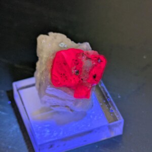 May include: A bright red crystal with a rough, faceted surface is mounted on a white rock. The crystal is illuminated by a UV light, causing it to glow intensely.