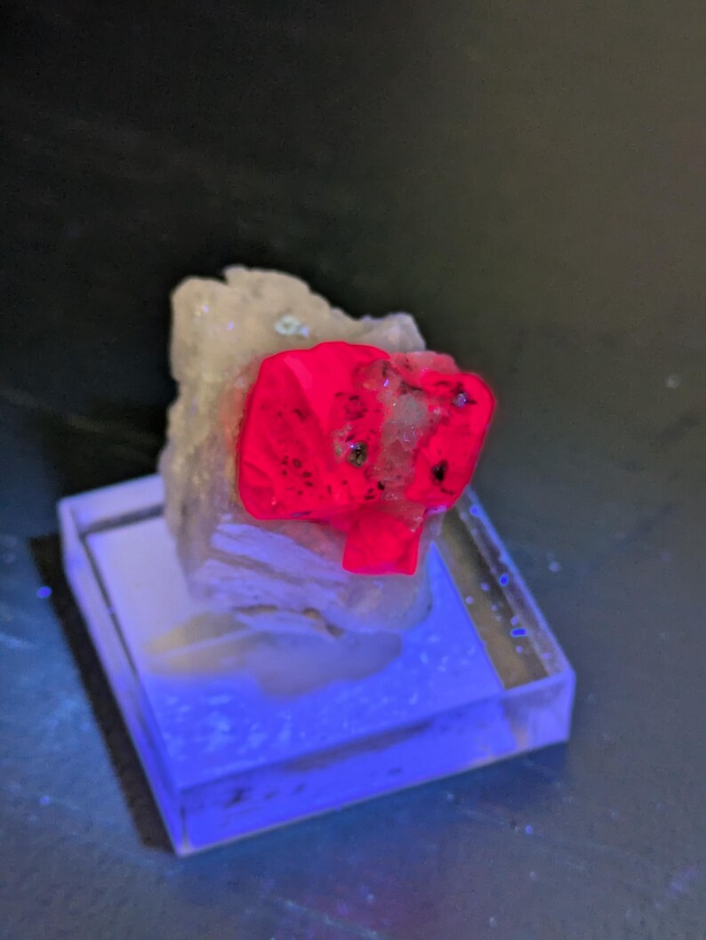 May include: A bright red crystal with a rough, faceted surface is mounted on a white rock. The crystal is illuminated by a UV light, causing it to glow intensely.