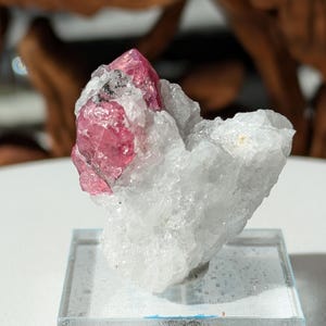 May include: A pink ruby crystal on a white matrix, displayed on a clear glass base.